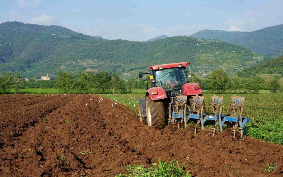 Infortuni Mortali in Agricoltura: Approfondimento Inail