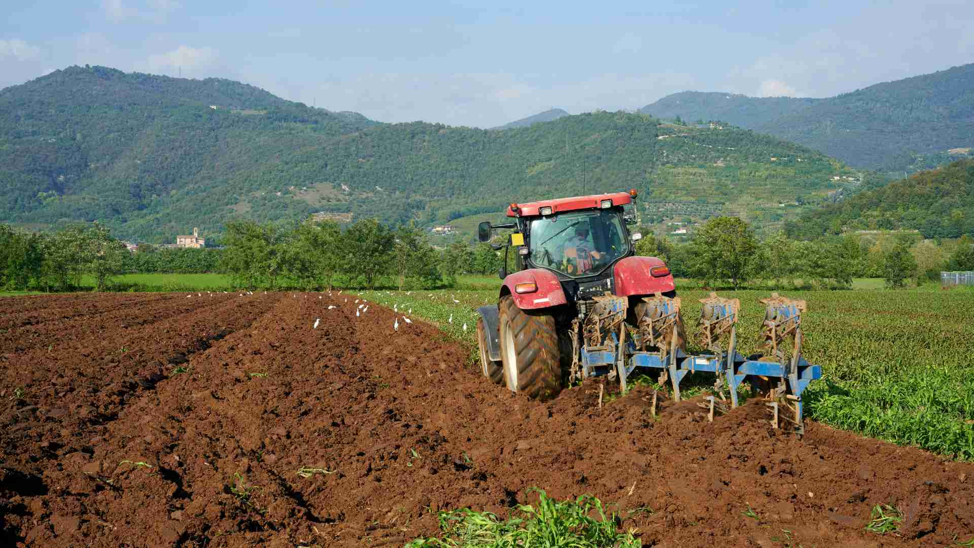 Trattore che ara un campo. metà arato e metà con coltivazione verde. Montagne sullo sfonfo.