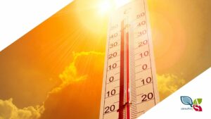 Termometro che segna 40°C, con sole sullo sfondo che da l'ieda di una giornata molto calda